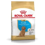 Royal Canin Pudel Junior 3 kg