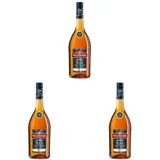 Wilthener NR. 1, Brandy in X.O.-Qualität, Spirituose 38% vol., Branntwein der Spitzenklasse (1 x 0.7 l) (Packung mit 3)