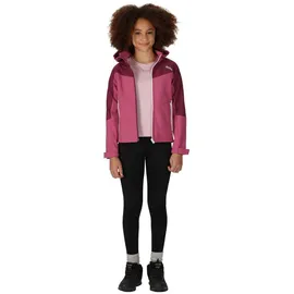 Regatta Eastcott Ii Softshelljacke - Violet / Ama Hz - 14 Jahre