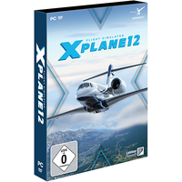 X-Plane 12 [PC]