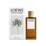 Loewe Pour Homme Eau de Toilette 100 ml