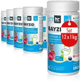 BAYZID 5 in 1 Multitabs Pool 20g - 12 x 1 kg - Chlortabletten für Pool 20g - 5-Phasen Pflege & Reinigung - Made in Europe - Für kristallklares Poolwasser