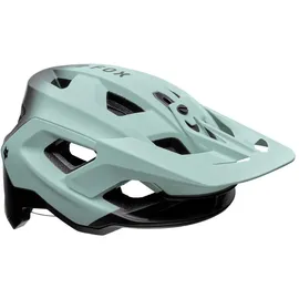 Fox Speedframe Pro L grau 2021