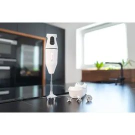 ESGE Zauberstab 95100 Cordless Stabmixer