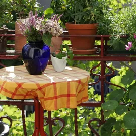 Relaxdays 40 x Tonkegel Bewässerung im Set, Pflanzen Wasserspender Ton, Wein und PET Flaschen Bewässerungskegel, Terracotta
