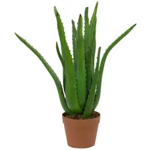 Europalms Aloe-Vera-Pflanze, Kunstpflanze, 63cm