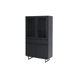 Furnhouse Vitrine 110 x 45 x 190 cm Schwarz