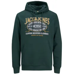 Jack & Jones Kapuzensweatshirt New Denim Hoody mit Kapuze