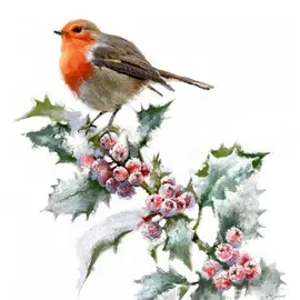 Coppenrath Verlag Wand-Adventskalender Winterponys