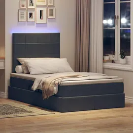 vidaXL Bett mit Stauraum und LED mit LED Dunkelgrau 120 x 190 cm Samt