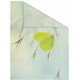 Lichtblick Fensterfolie Schmetterling grün 1 St., blickdicht, strukturiertKlebepunkte, selbstklebend, Sichtschutz grün