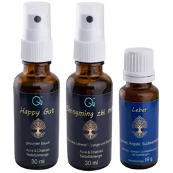 Qi - Health Entgiftung Kombipackung 77 g