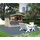 Palmako Stella 2,73 x 1,9 m natur/grau
