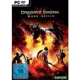 Dragon's Dogma: Dark Arisen (PC)