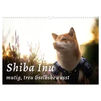 Calvendo Shiba Inu - mutig, treu, selbstbewusst (Wandkalender 2026