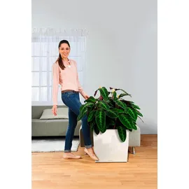 LECHUZA Rolluntersetzer Classico 60 Schwarz Ø 37 cm