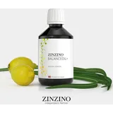 ZinZino BalanceOil+ Vegan - Zitronengeschmack mit Omega-3, Omega-9, Vitamin D3, 300 ml