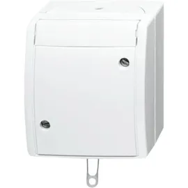 Busch-Jaeger Zugschalter 2610/6 W-54