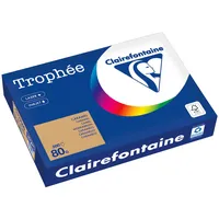 Clairefontaine Kopierpapier 1879PC A4 80g camel 500 Blatt