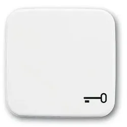 Wippe 1t Schalter Reflex SI aws glz Symbol Schlüssel/Tür