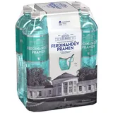 Ferdinanduv Pramen Mineralwasser 6 x 1,5 L aus Tschechien Stilles Wasser Water