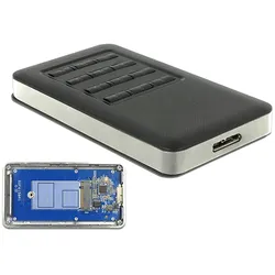 Delock Schnittstellenadapter - M.2 - USB 3.0