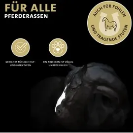 Peticare Huföl für Pferde fördert nachhaltig Hufwachstum | Elastizität am Huf