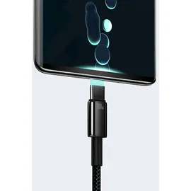 Baseus Tungsten Gold Cable USB to USB-C 100W 1m schwarz
