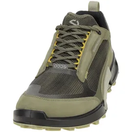 ECCO BIOM 2.1 X Mountain