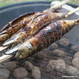 Papstar Grill-Spieße 80 cm Birkenholz mehrfarbig