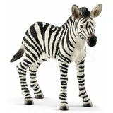Schleich Wild Life Zebra Fohlen 14811