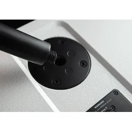 DAP AUDIO DAP Frigga Aktive Einzelsäule PA-System - Weiß