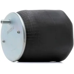 RIDEX Luftfeder, Fahrwerk 4119A0139 1244666,1270603
