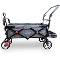 FUXTEC Fuxlife Smarter Bollerwagen FX-CT800 Grau
