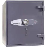 Phoenix Planet HS6072E / Widerstandsgrad IV / LFS 30P