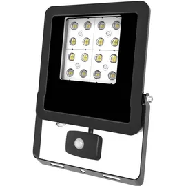 EVN Außenstrahler Edelstahl 27,5 cm inkl. Bewegungsmelder IP44 schwarz