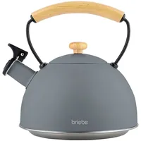 Briebe 2,3 l Grau