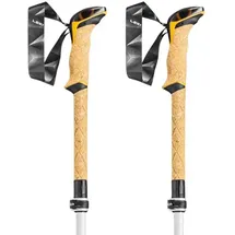Leki Cressida FX Carbon AS 100-120 cm white-mango-silver