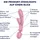 Satisfyer Triple Lover