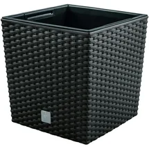 Prosperplast Rato Low 17 x 17 x 17 cm anthrazit