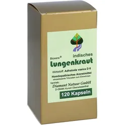 Lungenkraut indisches