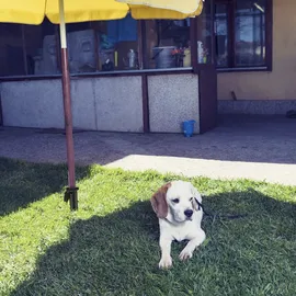 Relaxdays Bodenhülse Sonnenschirm, schwarz