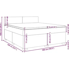 vidaXL Boxspringbett mit Matratze Hellgrau 180x200 cm Samt