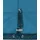 Normani Kinder Skijacke - Blau 134/140