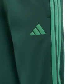 adidas Tiberio Trainingsanzug Collegiate Green/Court Green 140