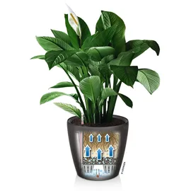 LECHUZA Classico LS 43 Komplettset Ø 43 x 40 cm anthrazit metallic