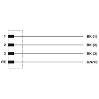 Phoenix Contact 1408835 Sensor-/Aktor-Steckverbinder, konfektioniert 1.00 m Polzahl Sensoren: