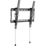 Vivolink Basic Medium Wall Mount with Tilt