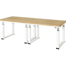 Rau Werkbank elektrisch höhenverstellbar, B2500xT900xH740-1140mm, B-Platte-40 mm