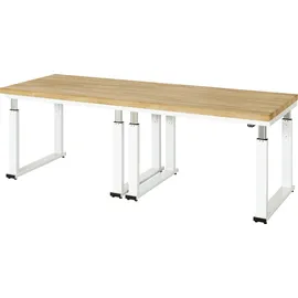 Rau Werkbank elektrisch höhenverstellbar, B2500xT900xH740-1140mm, B-Platte-40 mm